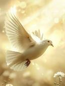 Rose Abdelhay
